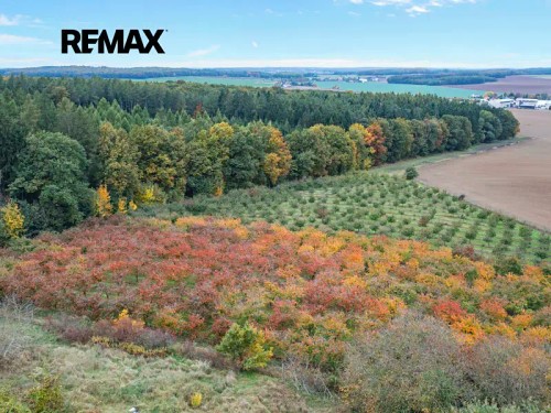 Prodej stavebního pozemku 24402 m²