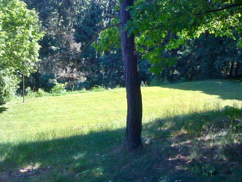 Prodej domu 190 m², pozemek 3153 m²