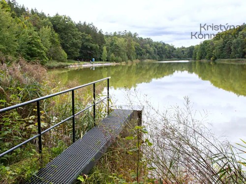 Prodej domu 260 m², pozemek 2877 m²