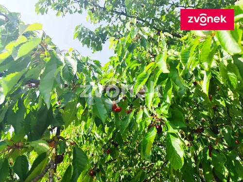 Prodej stavebního pozemku 1386 m²