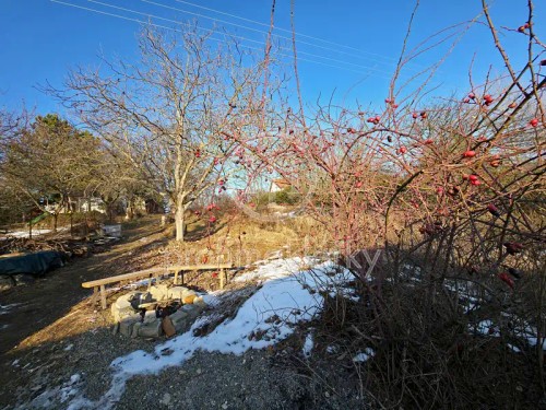 Prodej stavebního pozemku 1215 m²