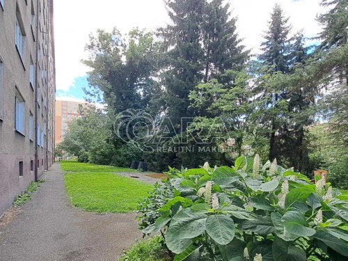 Prodej bytu 3+1 63 m²