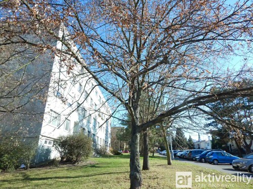 Prodaný  byt 1+kk 34 m²