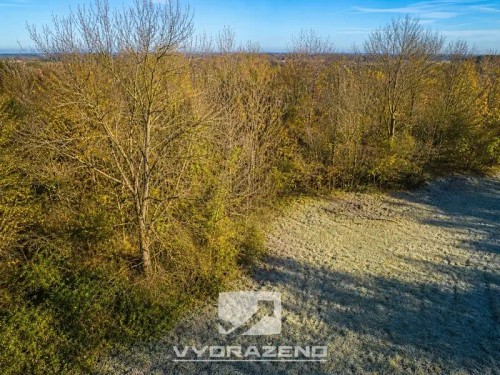 Prodej stavebního pozemku 3139 m²