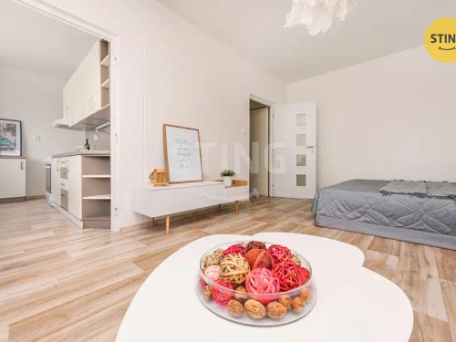 Prodej bytu 1+1 43 m²