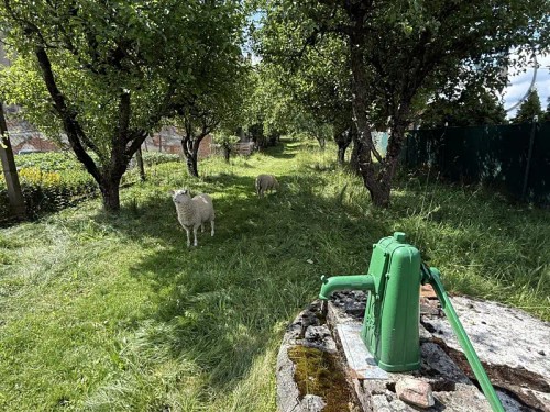 Prodej chaty 98 m², pozemek 1176 m²