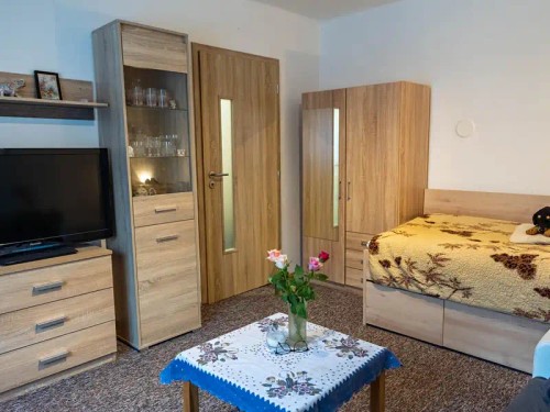 Prodej bytu 1+1 30 m²