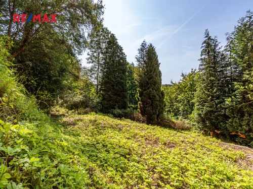 Prodej domu 533 m², pozemek 2105 m²