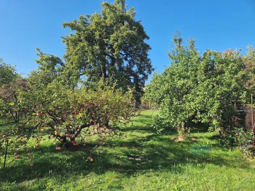 Prodej domu 104 m², pozemek 890 m²