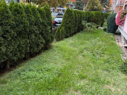 Prodej bytu 3+1 64 m²