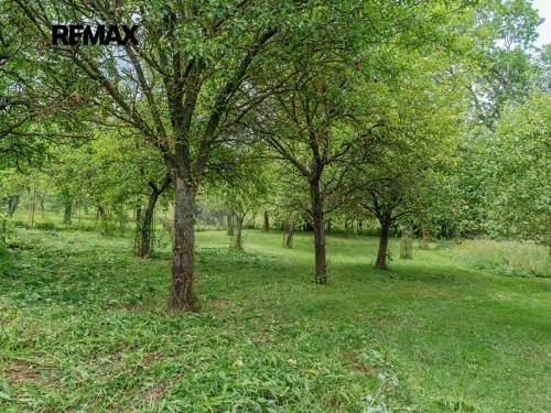 Prodej zemědělské usedlosti 120 m², pozemek 2771 m²