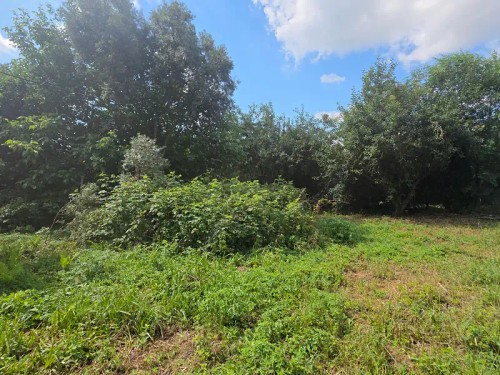 Prodej chaty 40 m², pozemek 1119 m²