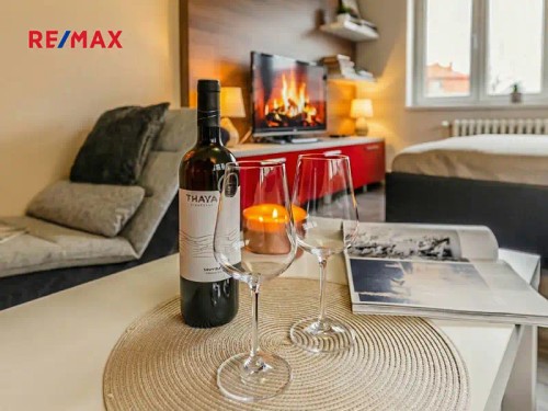 Prodej bytu 1+1 45 m²