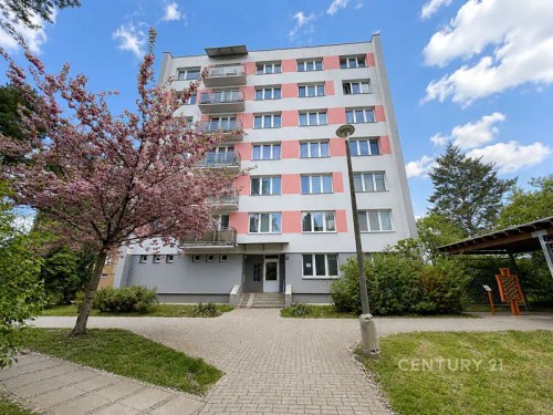 Prodej bytu 3+1 62 m²