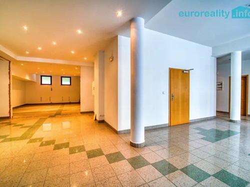 Prodej atypického bytu 301 m²
