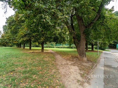 Prodej bytu 3+1 93 m²