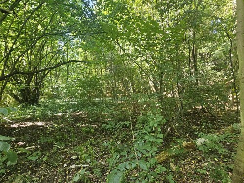 Prodej stavebního pozemku 5379 m²
