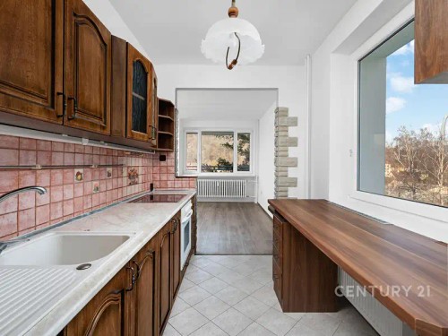 Prodej bytu 3+1 67 m²