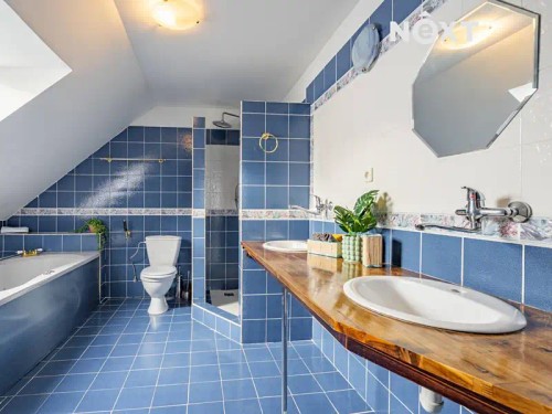 Prodej domu 360 m², pozemek 2756 m²