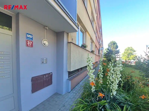 Prodaný byt 1+1 35 m²