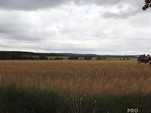 Prodej domu 443 m², pozemek 221 m²