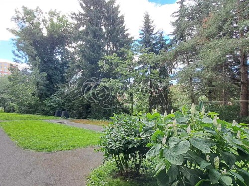 Prodej bytu 3+1 63 m²