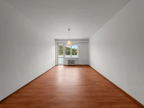Prodaný byt 2+1 55 m²