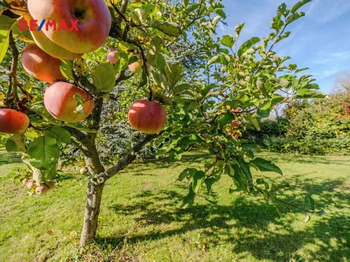 Prodej domu 197 m², pozemek 2250 m²