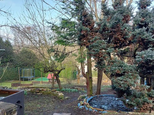 Prodej chaty 20 m², pozemek 352 m²