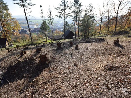 Prodej stavebního pozemku 2338 m²