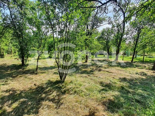 Prodej domu 300 m², pozemek 2567 m²