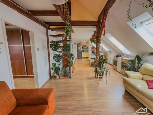 Prodej bytu 4+kk 146 m²