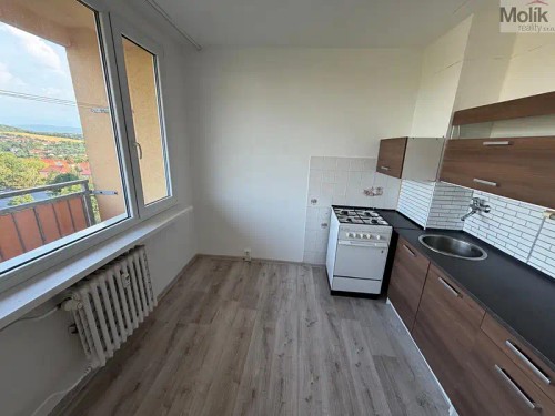 Prodej bytu 2+1 48 m²
