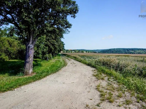 Prodej stavebního pozemku 1648 m²