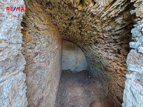 Prodej domu 300 m², pozemek 2000 m²