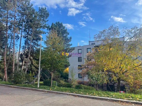 Prodaný byt 3+1 109 m²