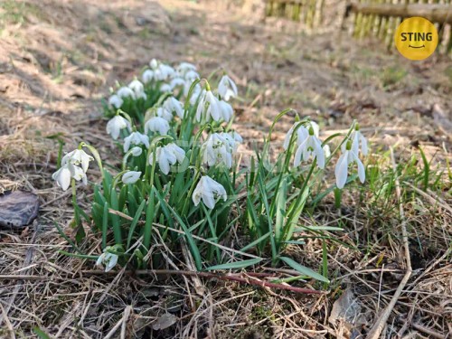 Prodej domu 120 m², pozemek 284 m²