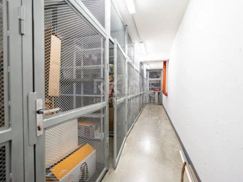 Prodaný byt 2+kk 57 m²