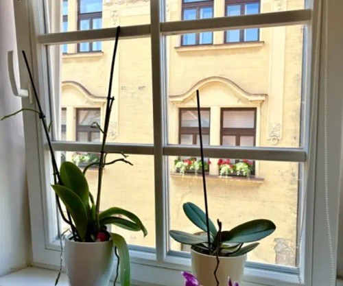 Prodej bytu 3+kk 84 m²