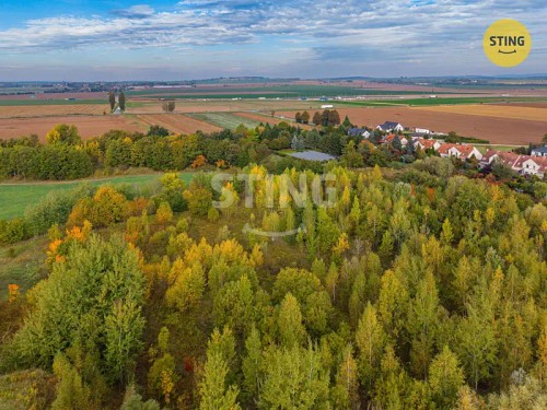 Prodej stavebního pozemku 63998 m²
