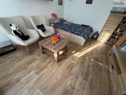 Prodej bytu 1+1 27 m²