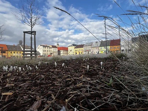 Prodej bytu 3+1 69 m²