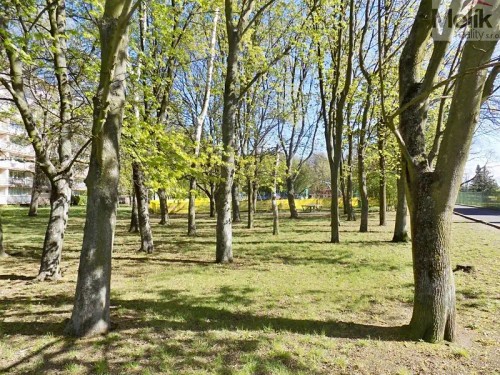 Prodej bytu 3+1 71 m²