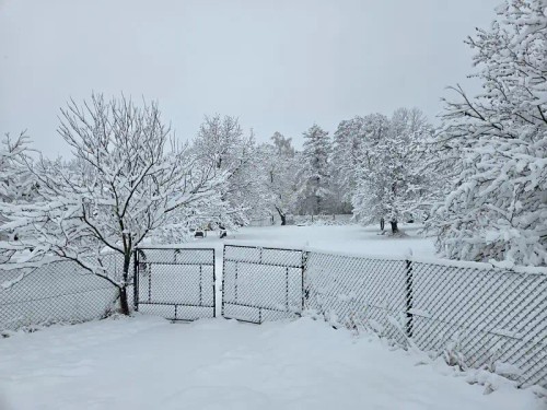 Prodej domu 110 m², pozemek 3049 m²