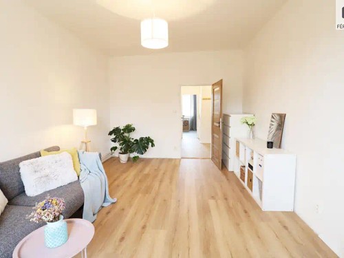 Prodaný byt 1+1 40 m²