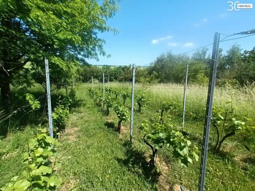 Prodej stavebního pozemku 1584 m²