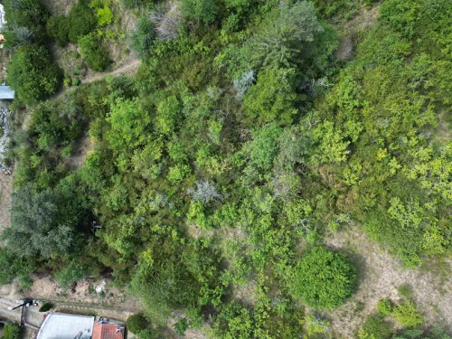 Prodej domu 56 m², pozemek 245 m²