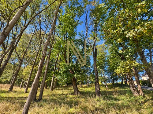 Prodej domu 65 m², pozemek 6057 m²
