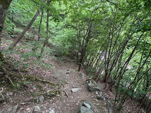 Prodej chaty 80 m², pozemek 103 m²