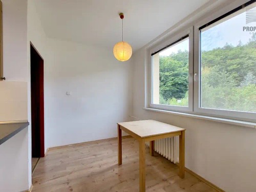 Prodaný byt 1+1 30 m²